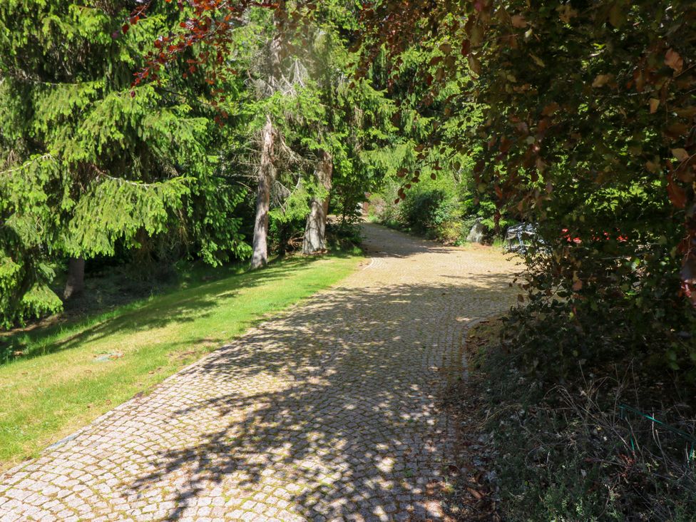 A pathway surrounded by trees and grass at Claybockie Mar Lodge near Braemar