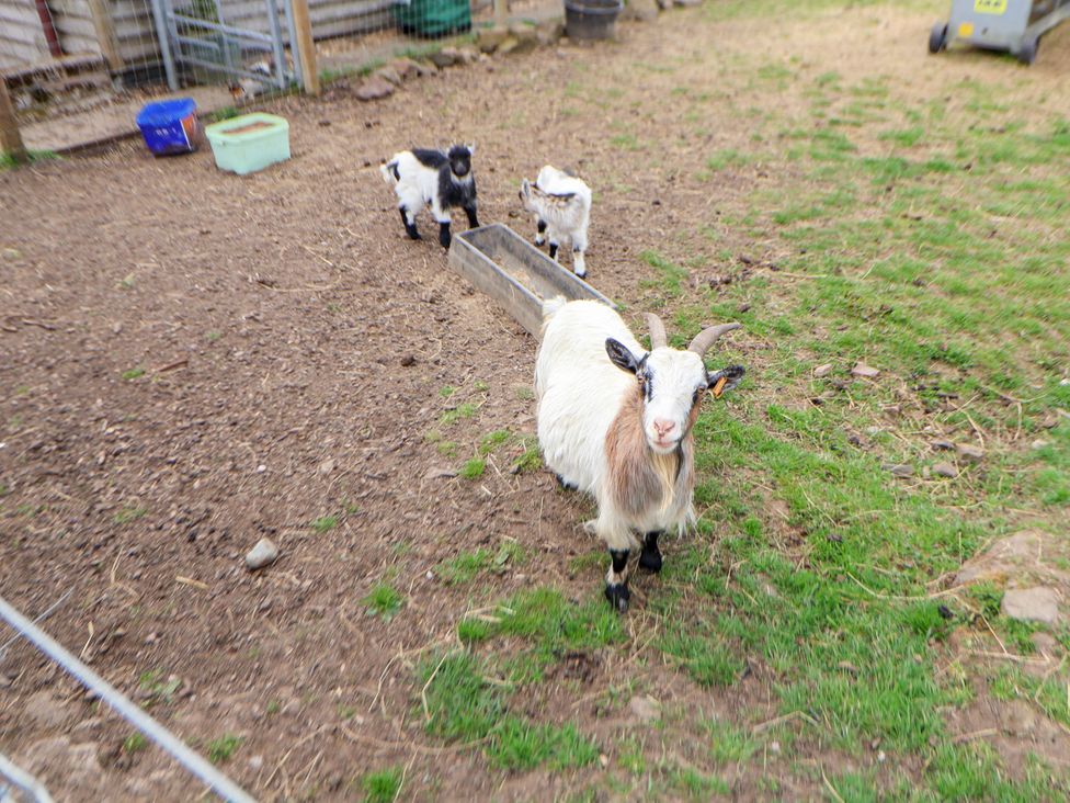 Sprinks Farm - Peak District & Derbyshire - 1171203 - thumbnail photo 46