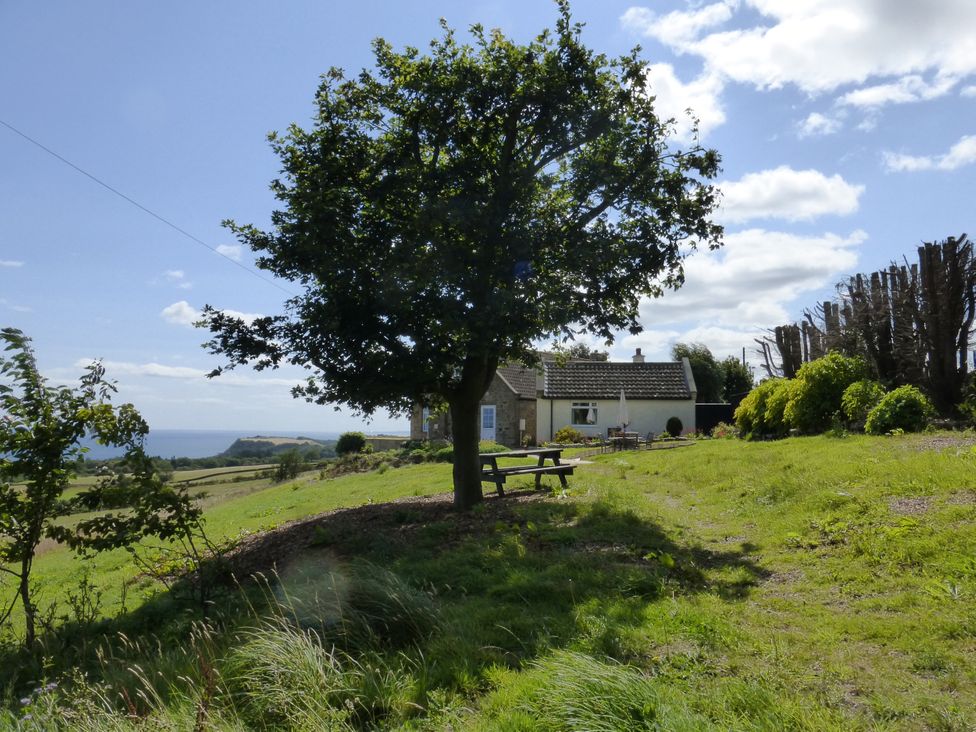 A house with a tree and picnic table at Meadow Cottage in Staintondale near Cloughton