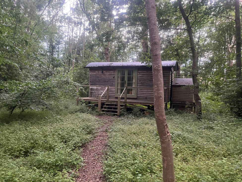 A cabin in the woods near a path at Woodlands Retreat Shepherd's Hut Brundish near Laxfield