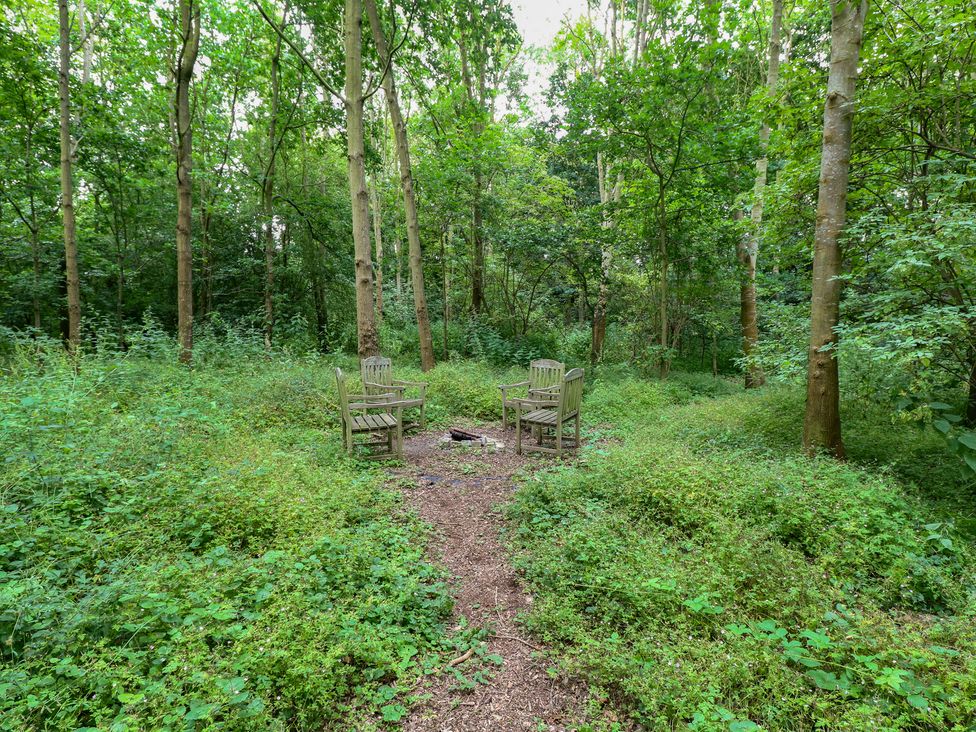 A seating area with chairs and fire pit in a forest at Woodlands Retreat Shepherd's Hut Brundish near Laxfield