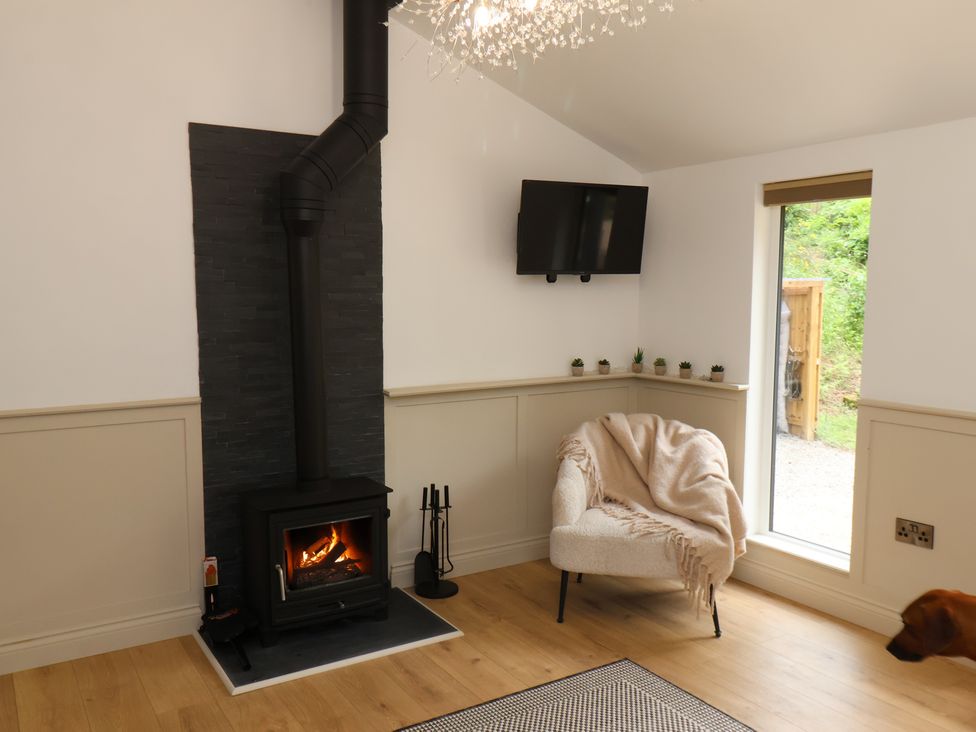 Roe Deer Lodge - North Yorkshire (incl. Whitby) - 1171340 - thumbnail photo 4