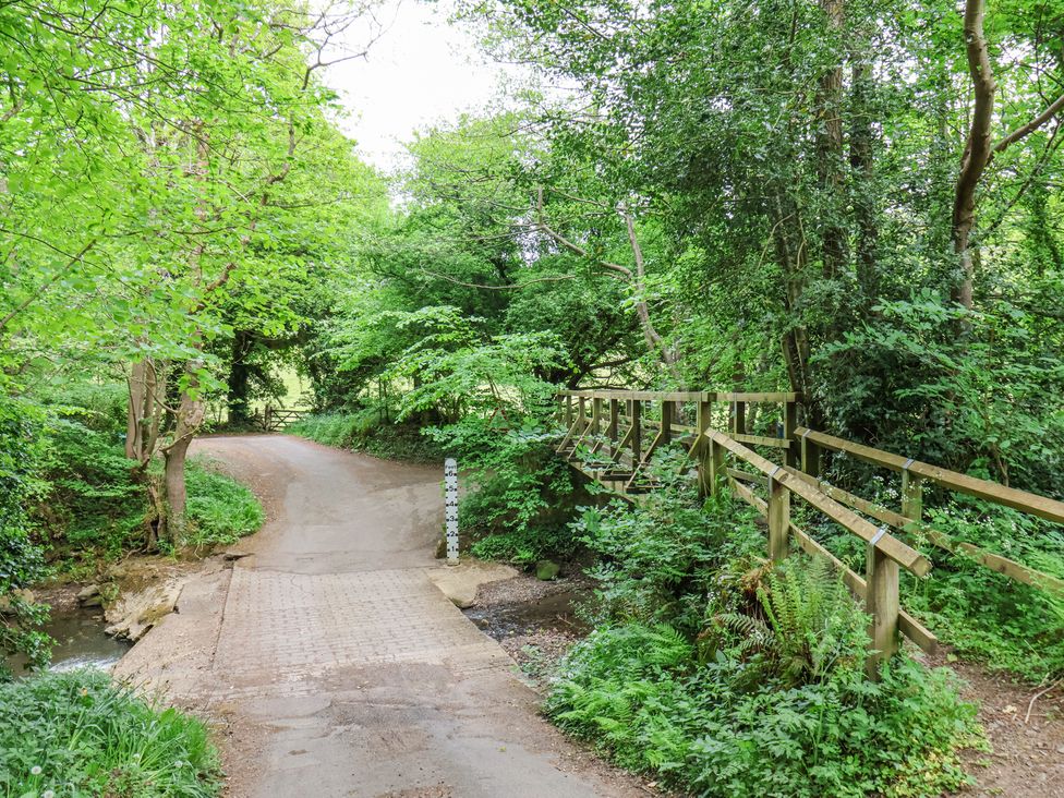 Roe Deer Lodge - North Yorkshire (incl. Whitby) - 1171340 - thumbnail photo 29