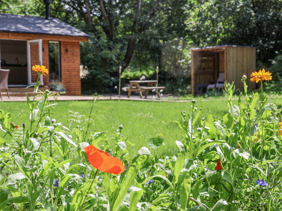 A garden with flowers and a wooden shed at Roe Deer Lodge in Littlebeck near Sleights