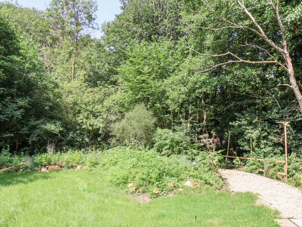 A garden with greenery and a pathway at Roe Deer Lodge, Littlebeck near Sleights