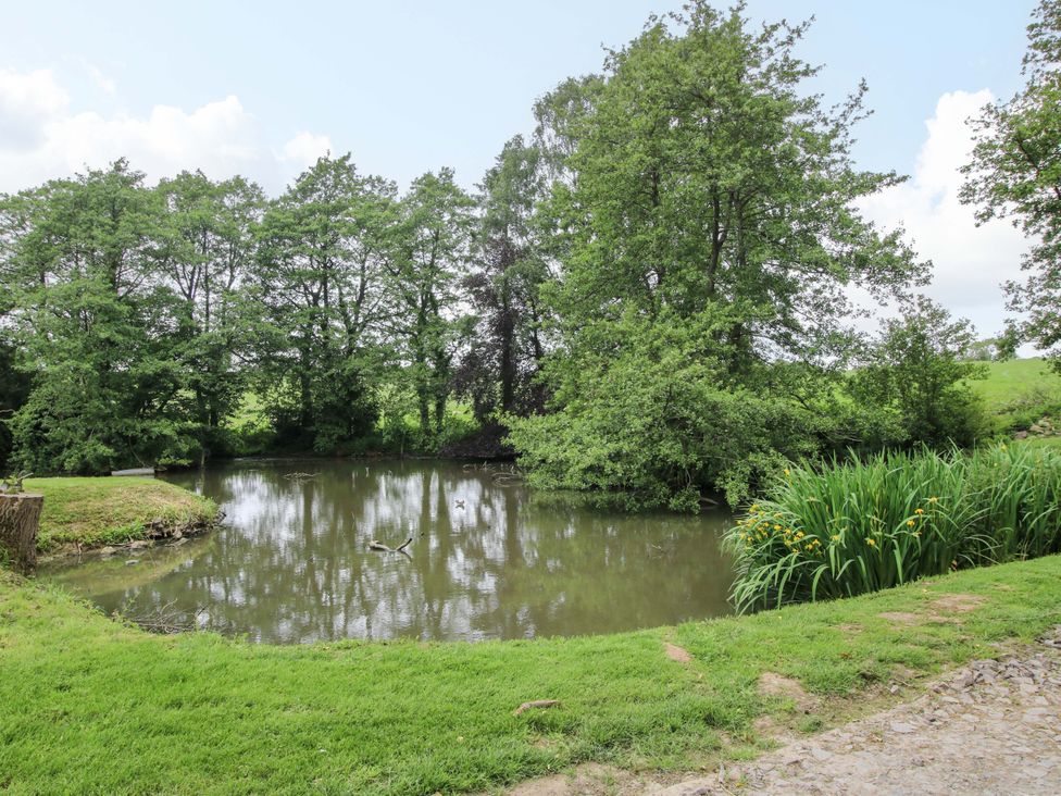 A pond surrounded by trees and grass at Highfields Farm in Church Preen near Much Wenlock