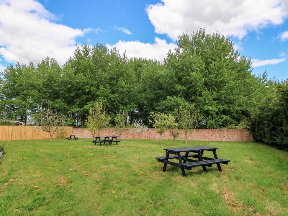 Pine Lodge - Somerset & Wiltshire - 1171455 - thumbnail photo 26