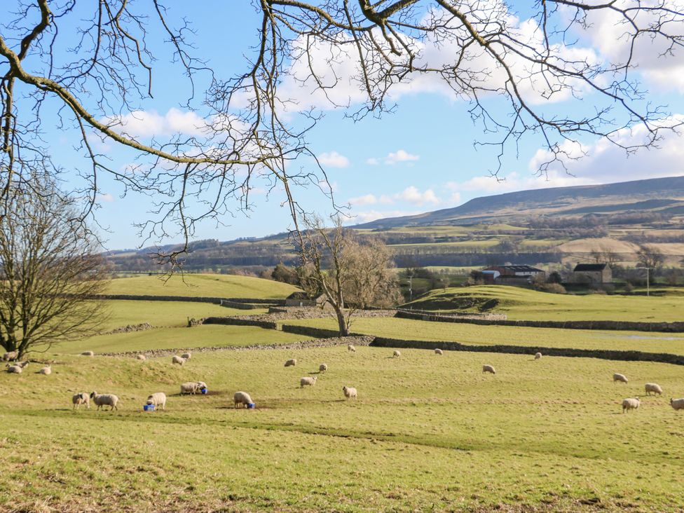 Pencroft Cottage - Yorkshire Dales - 1171485 - thumbnail photo 39