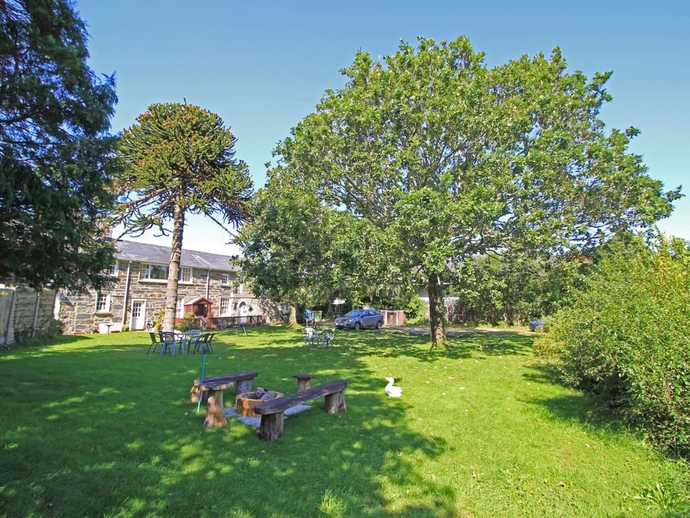 A garden with trees and a bench at Garden Flat in Porthmadog