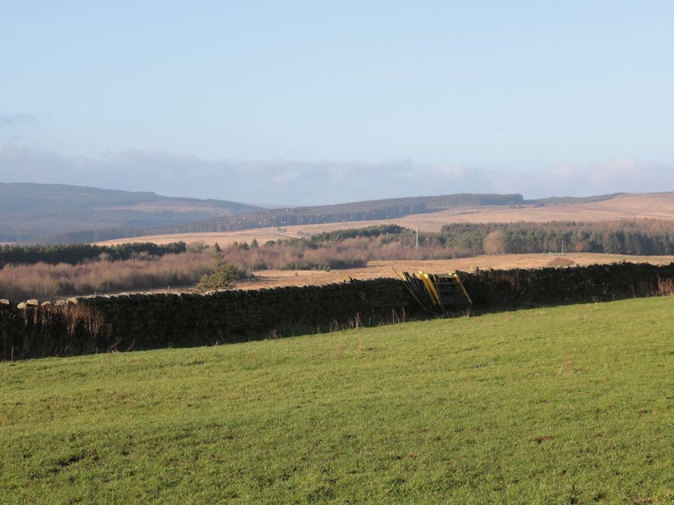 Petty Knowes Cottage - Northumberland - 1171631 - thumbnail photo 26