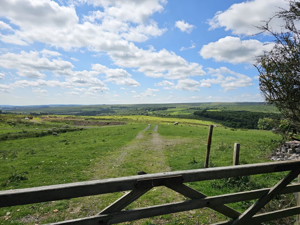 A view of fields with sheep and a path at Petty Knowes Cottage Rochester near Otterburn