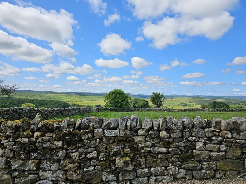 A view of a stone wall and trees in a field at Petty Knowes Cottage near Rochester near Otterburn