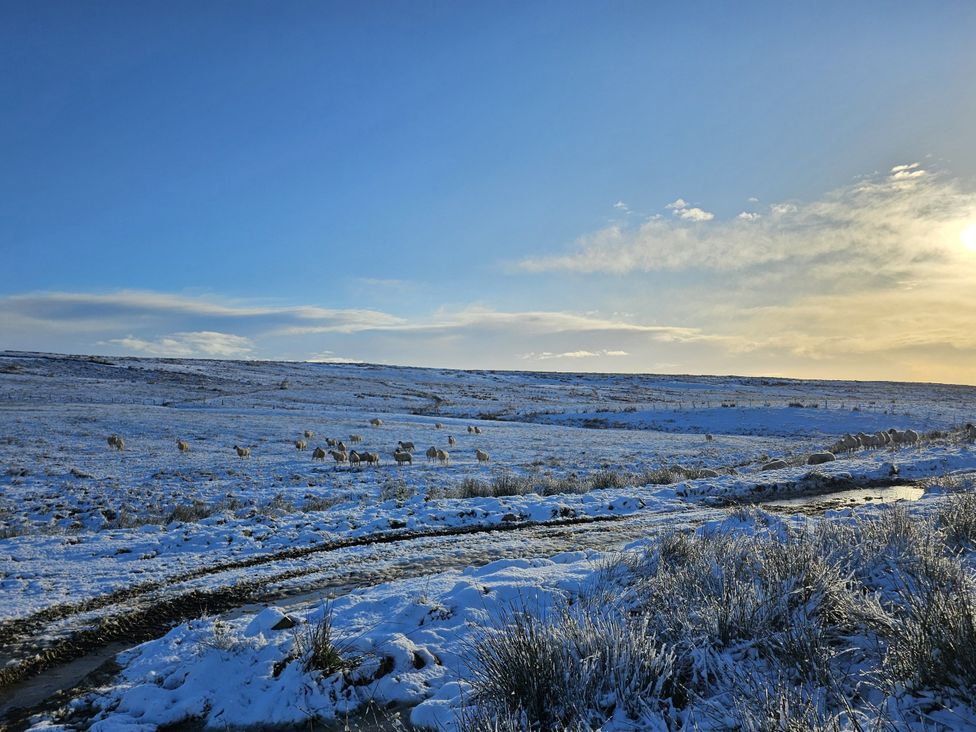 A snowy landscape with sheep grazing and a stream at Petty Knowes Cottage Rochester near Otterburn