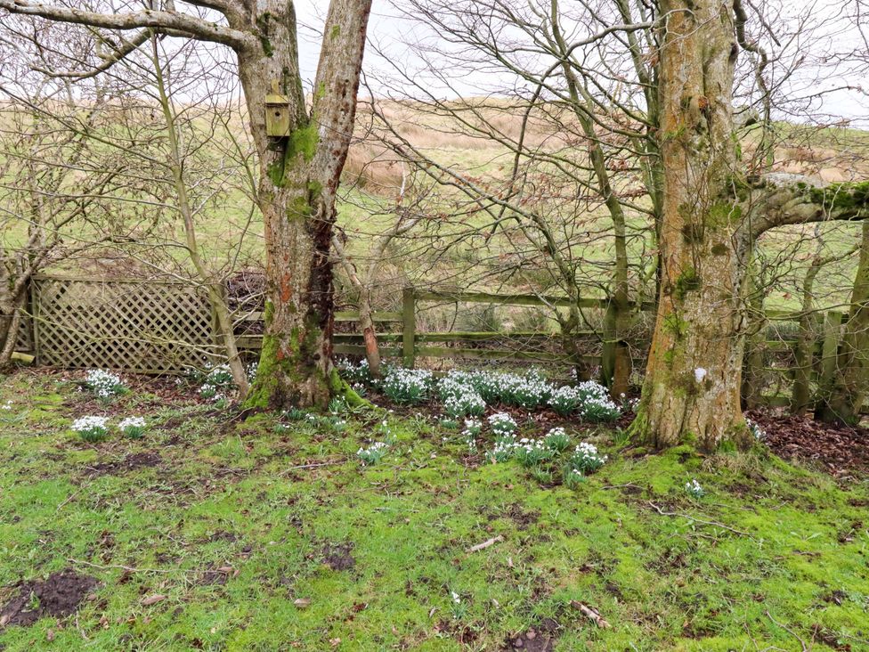 A garden with trees and flowers at Petty Knowes Cottage Rochester near Otterburn