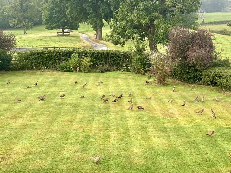 A garden with birds on the grass at Higher Park Farm in Alderley Edge