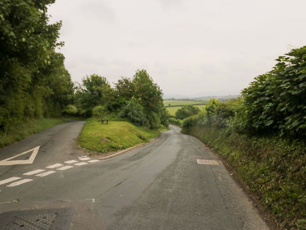 A rural road with trees and grass at Yeat Stoup Cottage in Cockermouth
