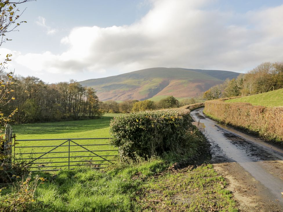 A scene depicting a gate and a winding road with mountains in the background at Beech Brae Kendal
