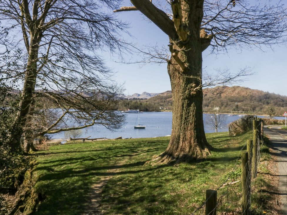 A view of a tree by the water at Beech Brae in Kendal
