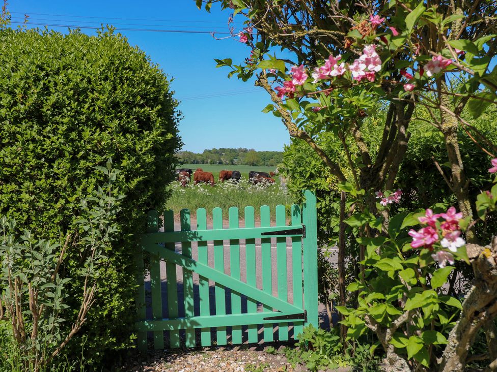 Holmhurst -  - 1171776 - thumbnail photo 42