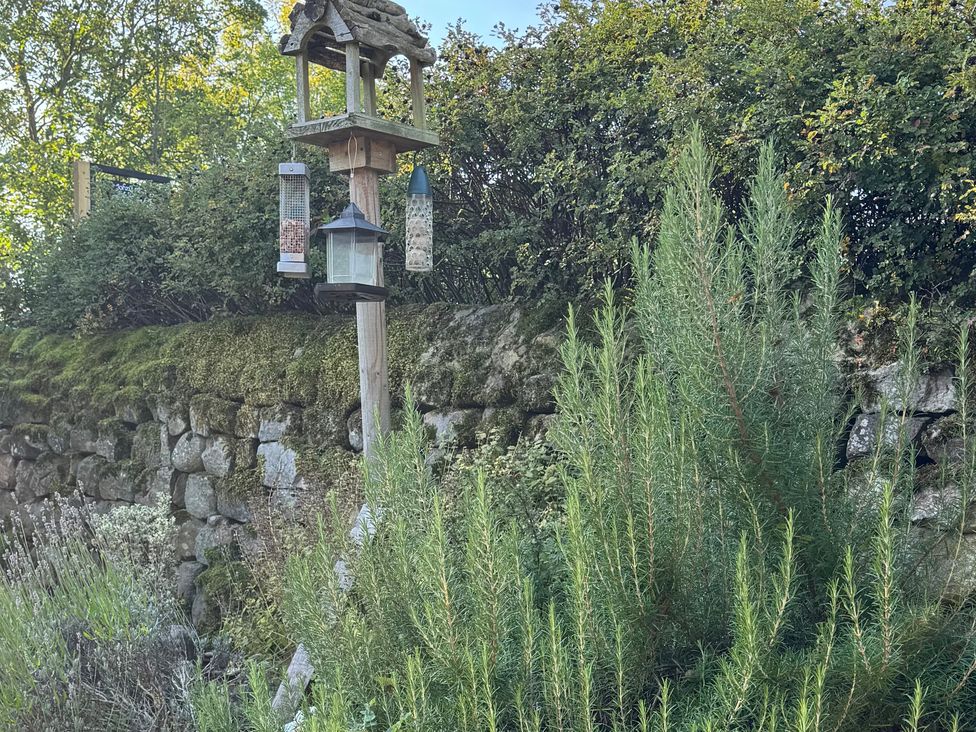 Johns Cottage - Yorkshire Dales - 1171779 - thumbnail photo 40