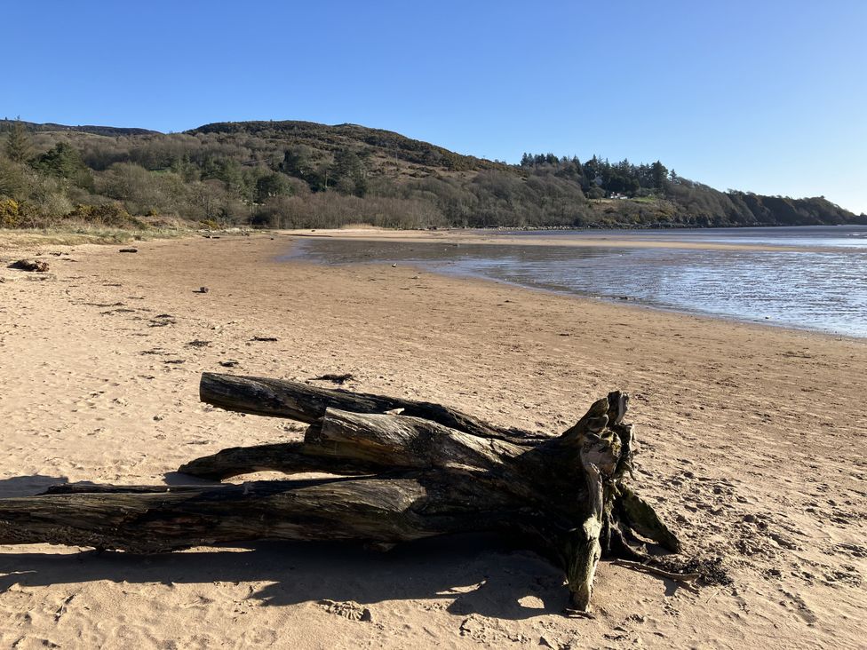 A beach with driftwood and water at The Steading in Castle Douglas