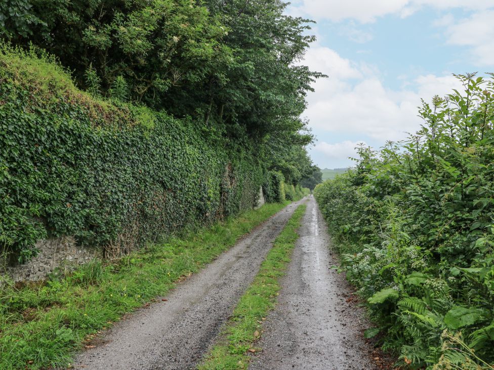 A pathway lined with greenery at The Steading in Castle Douglas