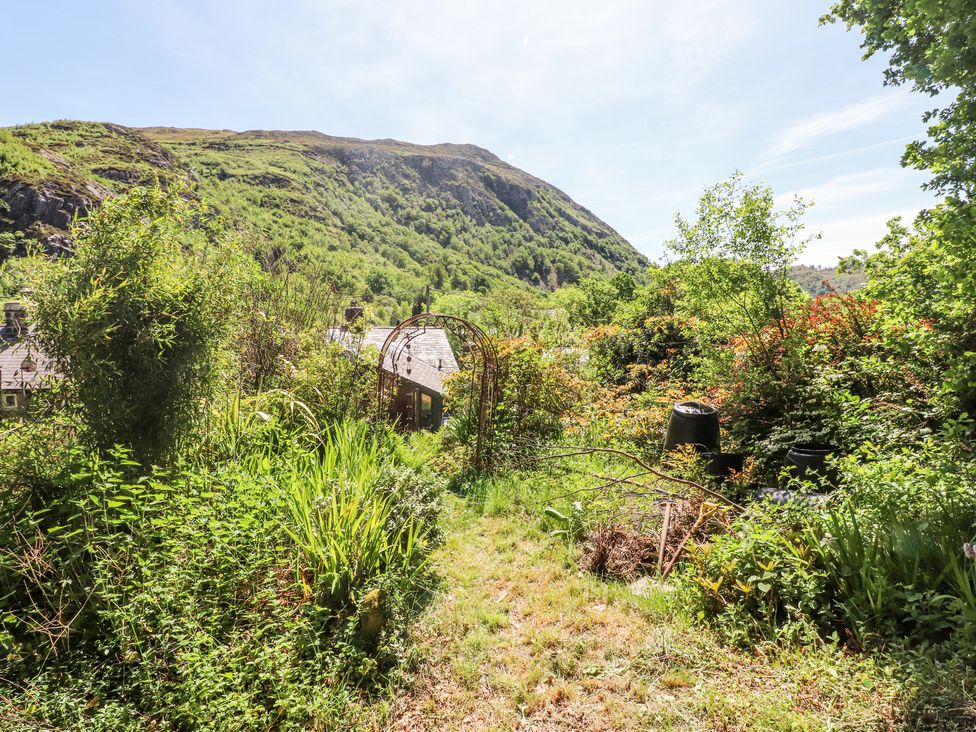 Llys Emrys - North Wales - 1171878 - thumbnail photo 35