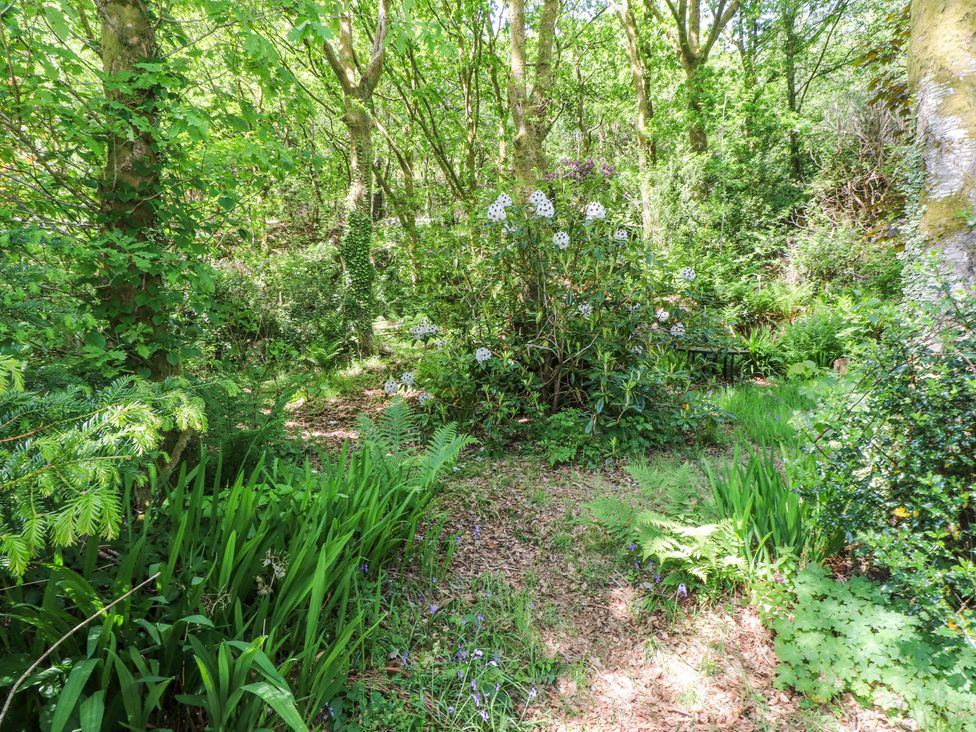Llys Emrys - North Wales - 1171878 - thumbnail photo 36