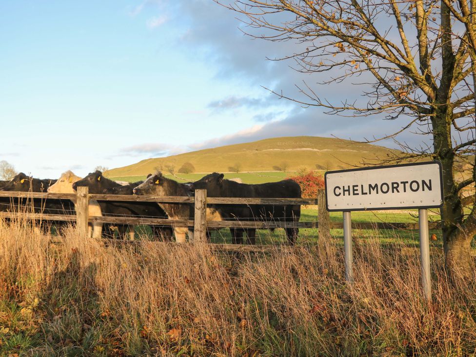 A group of cows near a sign in Chelmorton
