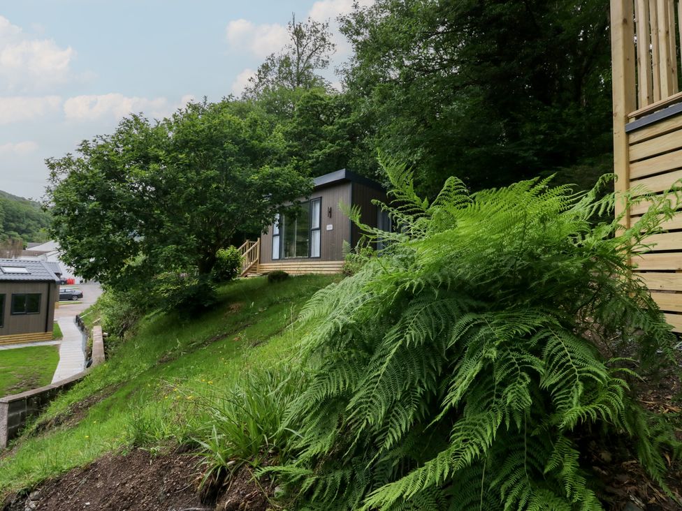 A building surrounded by trees and ferns at Elter Luxury Pod in Keswick