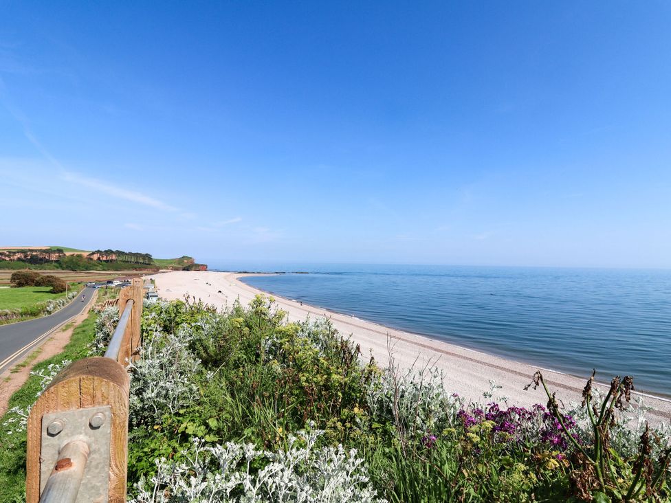 A beach view with water and flowers at Badger's Den in Budleigh Salterton