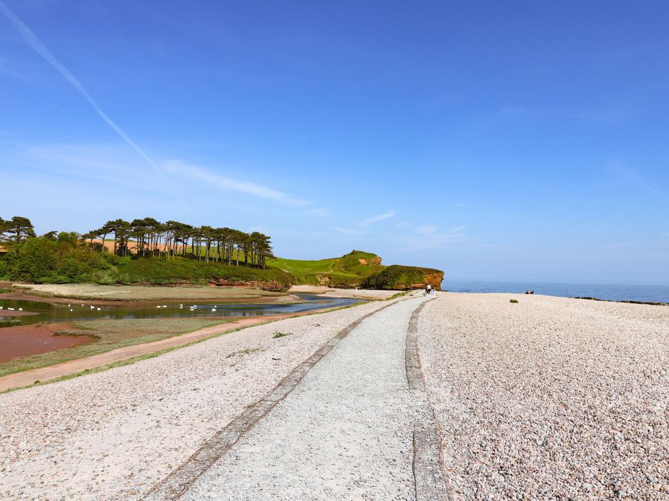A beach with a path and trees at Badger's Den in Budleigh Salterton