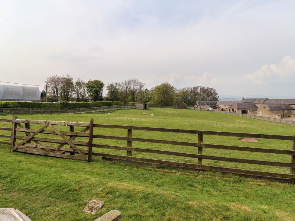 Folly View - Northumberland - 1172043 - thumbnail photo 36