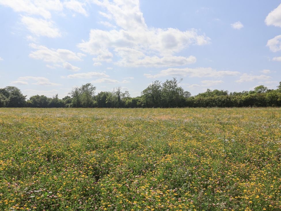 A field of wildflowers under a blue sky at Robin A-frame in Monewden near Otley, Suffolk