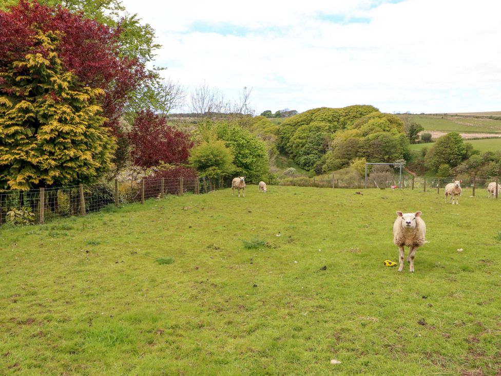 Kirkland Howe Cottage - Lake District - 1172076 - thumbnail photo 56