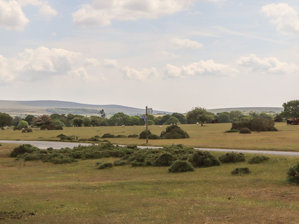 Dellcote - Devon - 1172087 - thumbnail photo 49