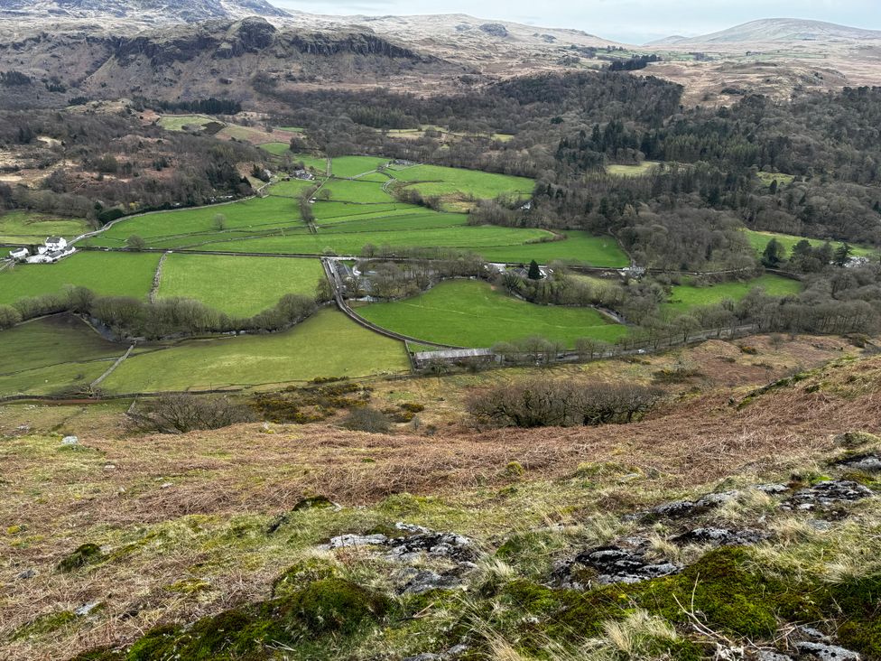 A view of green fields and trees from above at Dakota near Boot