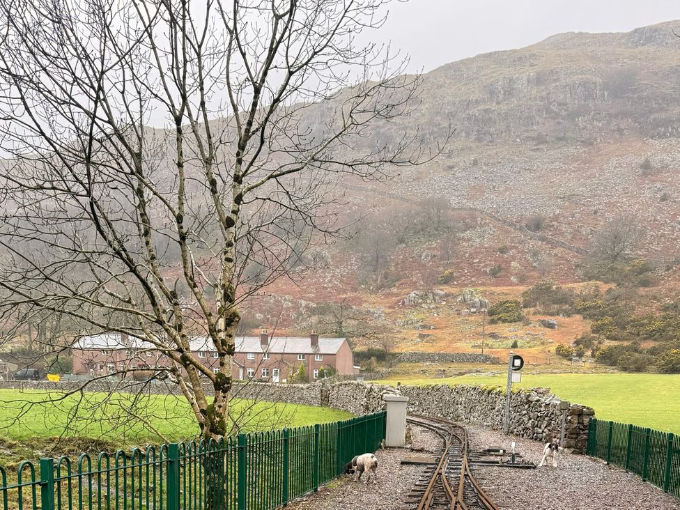 An outdoor view with a tree, railway tracks, and a house at Dakota near Boot