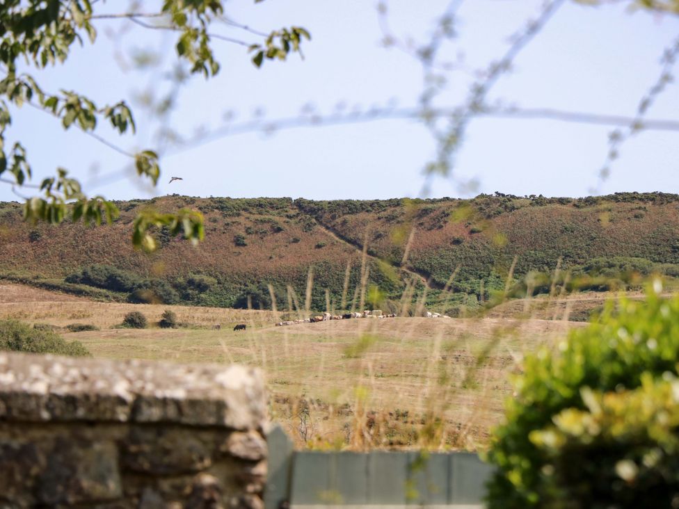 A view of hills and grassland with trees and a fence at Glebe Garth near Niton