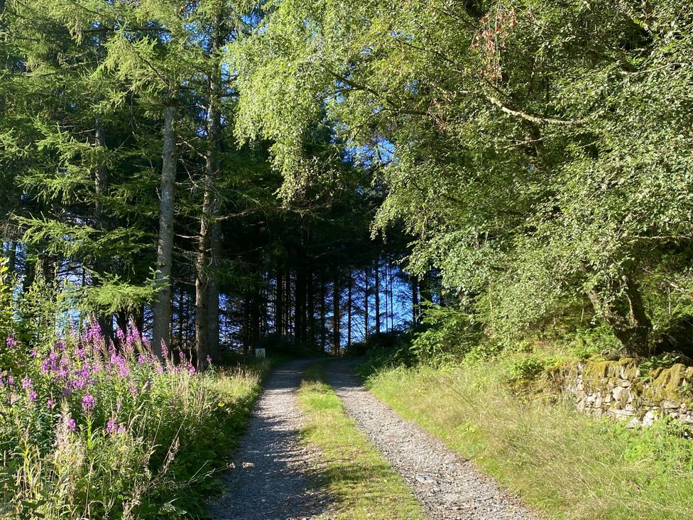 Cae'n Y Coed Cottage - North Wales - 1172251 - thumbnail photo 33