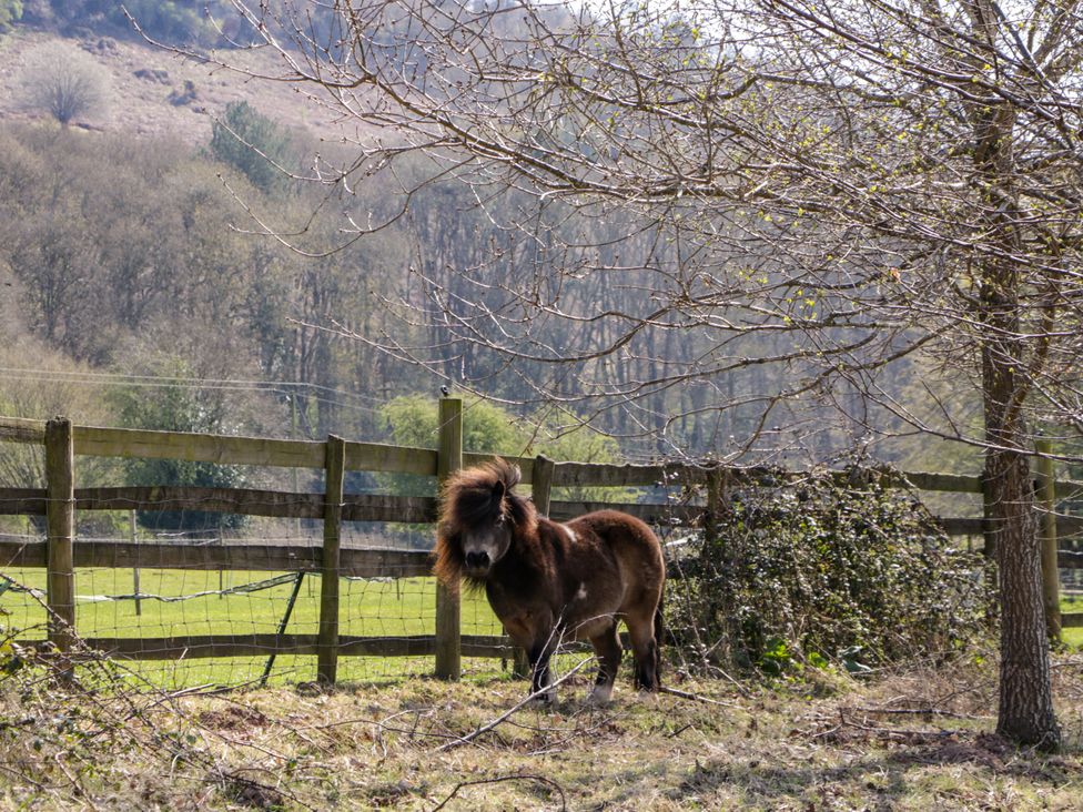The Cottage at Rocklands Farm - Herefordshire - 1172257 - thumbnail photo 3