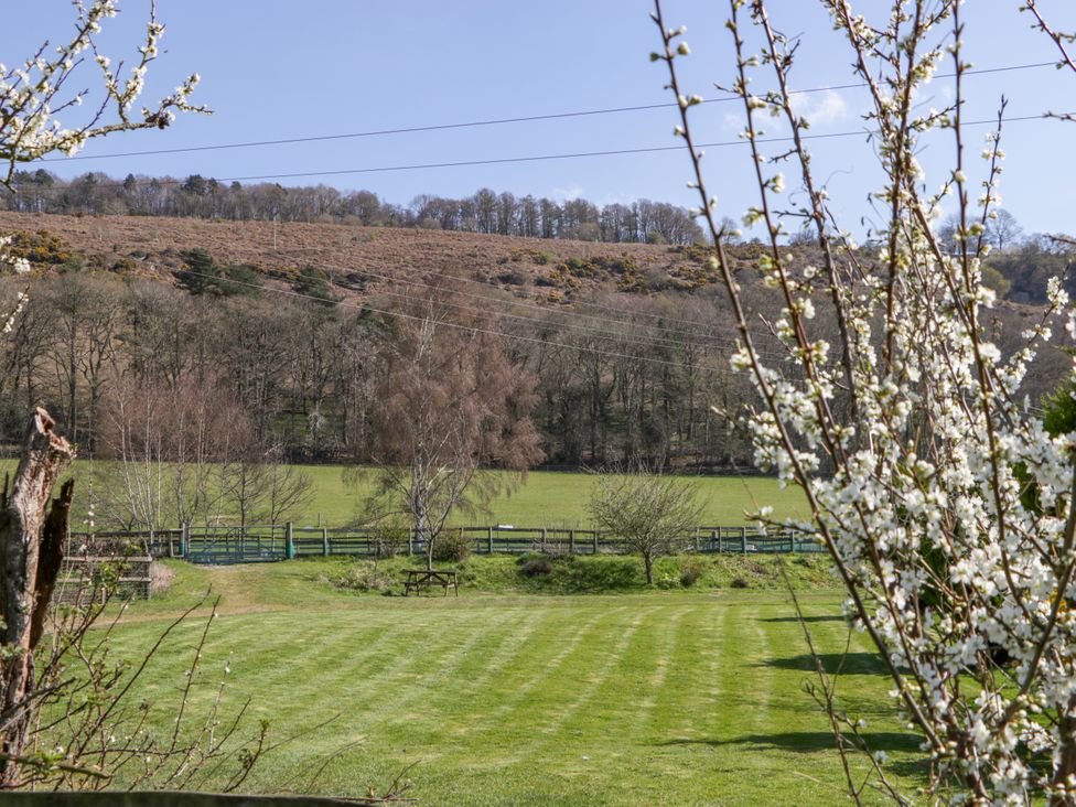 The Cottage at Rocklands Farm - Herefordshire - 1172257 - thumbnail photo 20