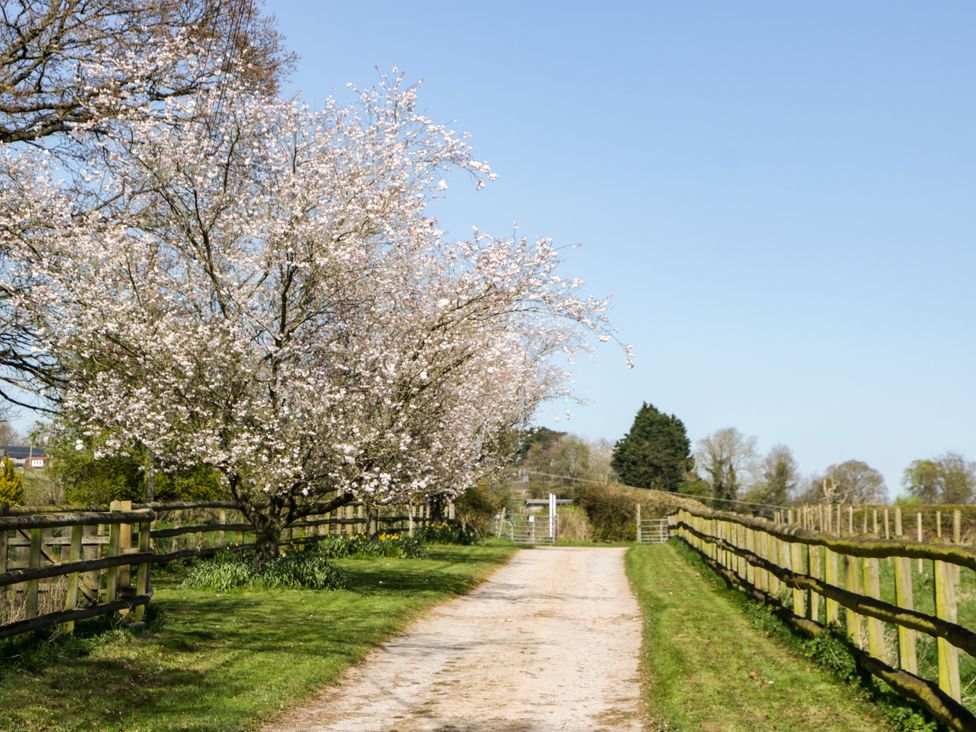 The Cottage at Rocklands Farm - Herefordshire - 1172257 - thumbnail photo 23