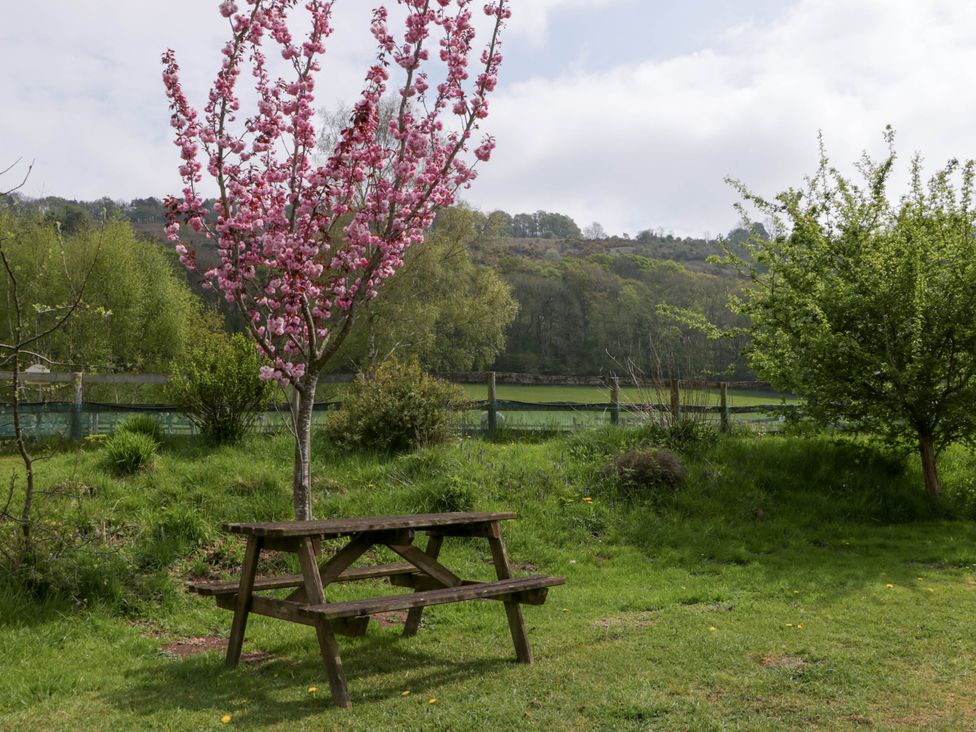 The Cottage at Rocklands Farm - Herefordshire - 1172257 - thumbnail photo 25
