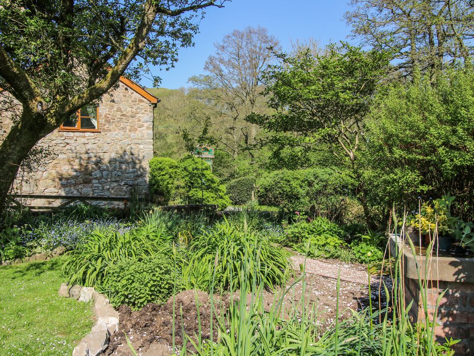 Caradoc Cottage - Shropshire - 1172262 - thumbnail photo 34