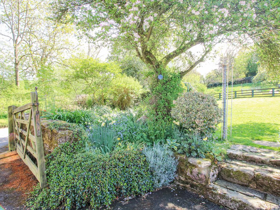 Caradoc Cottage - Shropshire - 1172262 - thumbnail photo 38