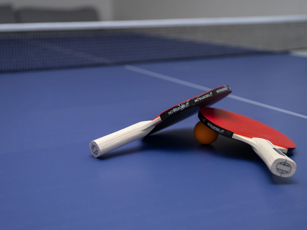 A table tennis setup with paddles and a ball at Old Distillery Lodge