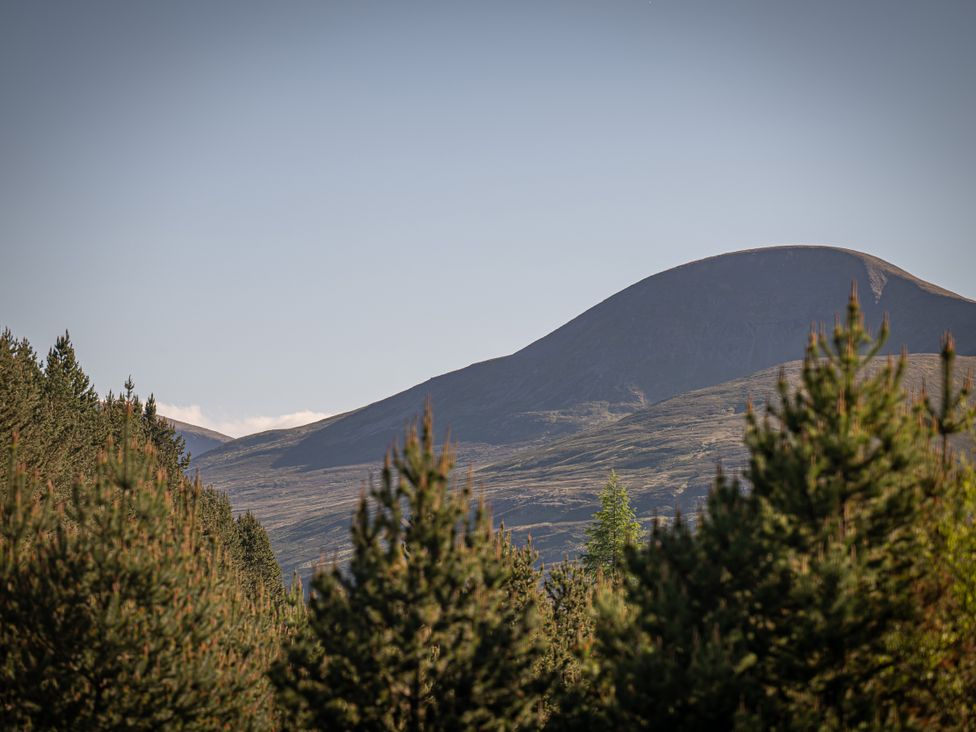 View of a mountain surrounded by trees at Old Distillery Lodge in 