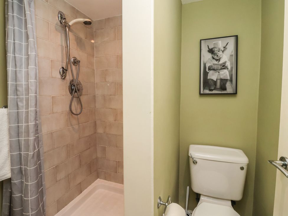 A bathroom with a shower and toilet at Figgy Cottage in Ripon