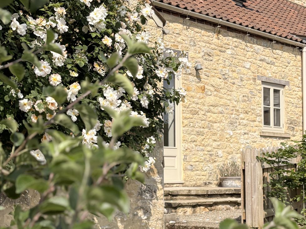 A house with flowers and steps at Angram Cottage near Thirsk